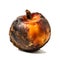 Decomposing Rotten Peach Unhealthy Eating Concept in Spoiled Fruit, Mold Growth, Generative Ai