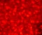 Decompressed abstract red glitter background