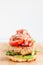 Deconstructed Chicken Hamburger / Burger Vertical Photo