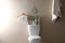 Decor elements, necessities and toilet bowl near beige wall. Bathroom