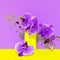 Decor flowers calla in violet yellow space. Minimalist scene. Bloom, Spring,summer, greeting card, invitation concept.  Still life