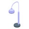 Decor lamp icon isometric vector. Stand furniture