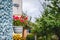 Decor outside the house, pink geraniums in a hanging flowerpot on the wall of the house