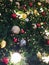 Decorate colorful balls in the Christmas tree to celebrate Christmas and New Year.