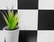 Decorate green plant Aloe vera in white ceramic flowerpot put on black and white chessboard pattern wall