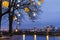 Decorated bare tree in Tallinn, Estonia