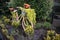 Decorated bicycle bike covered in plants and flowers in a garden display