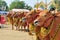 Decorated Bulls at Madura Bull Race, Indonesia