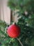 Decorated Christmas green tree decorations have green ball, leaves on blurred of background