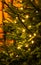 Decorated Christmas tree. Festive sparkling bright background