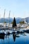 Decorated Christmas tree stands on the pier, surrounded by palm trees and moored yachts