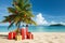 A decorated christmas tree on a tropical beach. Seasonal festive winter travel vacation