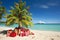 A decorated christmas tree on a tropical beach. Seasonal festive winter travel vacation