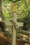 Decorated cross gravestone