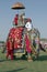 Decorated Elephant and Passengers. Jaipur, Rajasthan, India.