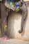 Decorated elephants in Jaleb Chowk in Amber Fort in Jaipur, India. Elephant rides are popular tourist attraction in Amber Fort.