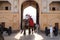 Decorated elephants waiting tourists at Amber Fort in Jaipur