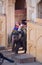 Decorated elephants waiting tourists at Amber Fort in Jaipur