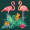 Decorated with exotic rain forest jungle palm tree monstera green leaves and couple of pink flamingo birds