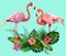 Decorated with exotic rain forest jungle palm tree monstera green leaves and couple of pink flamingo birds