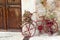 Decorated flower bike close to wood door in village of Valldemossa, Majorca island, Spain.