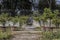 Decorated fountain in the villa Borghese gardens