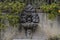 Decorated fountain in the villa Borghese gardens