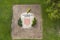 Decorated garden with shield of de city, Tarragona.