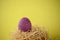 Decorated handpainted bright pink and black snakeskin patterned Easter egg in a straw nest against bright yellow background with c