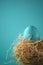 Decorated handpainted mint blue glitter Easter egg in a straw nest on turquoise teal background with copy space