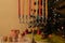 Decorated Hanukkah menorah, Christmas tree, spinning top toys and chocolate coins