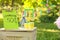 Decorated lemonade stand in park. Refreshing natural drink