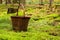 Decorated mushroom basket