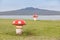 The decorated mushroom vents with blurred Rangitoto Island background, Auckland, New Zealand.