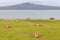 The decorated mushroom vents with blurred Rangitoto Island background, Auckland, New Zealand.