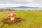 Decorated mushroom vents with Rangitoto Island background, A