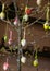 Decorated oak branch with colored eggs, European Easter with traditional decoration eggs, Easter time