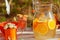 Decorated picnic with oranges and lemonade in the summer