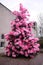 Decorated pine tree outside