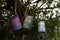 Decorated recycled tin cans hanging from tree
