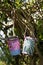 Decorated recycled tin cans made into plant pots hanging from trees.