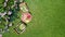 Decorated table with bread, strawberry and fruits in beautiful summer rose garden, aerial top view of romantic date table food