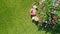 Decorated table with bread, strawberry and fruits in beautiful summer rose garden, aerial top view of romantic date table food