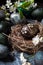 Decorated in white brown color traditional Easter egg in original bird nest, naturally colored eggs around with blooming branches