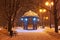 Decorated winter city park at night