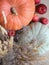 Decoration. Autumn food frame with apple fruit and pumpkin on wood background. Great top view. Florist shop. Garden. Great Countr