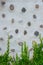 Decoration cement wall texture background with small plant at bottom.