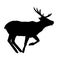 Decoration, elegance, horned, object, shadow, buck, doe, big, vintage, cervus, cute, dappled, engraving, graceful