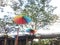 decoration of flying umbrellas in the equatorial park Pontianak, West Kalimantan, Indonesia 2