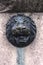 Decoration fountain head lion from bronze in Berlin Germany September